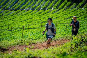 BIB: 1773, 
                            <button type="button" onclick="openModal(19162826)" class="btn btn-primary btn-sm float-right btn-popup" data-toggle="modal" data-target=".modal-high-quality">
                        <i class="fas fa-shopping-cart"></i> Add to Cart
                    </button>
                                            <button type="button" onclick="isThisMe(19162826, true)" class="btn btn-success btn-sm float-right btn-popup btn-isme hidden" data-toggle="tooltip" data-placement="bottom" title="นี่คือรูปของคุณใช่ไหม คลิกที่นี่เพื่อเอาเข้าอัลบั้ม">
                        <i class="fas fa-plus"></i> Add to album
                    </button>
                    <button type="button" onclick="isThisMe(19162826, false)" class="btn btn-warning btn-sm float-right btn-popup btn-isnotme hidden">
                        <i class="fas fa-ban"></i> Remove from album
                    </button>